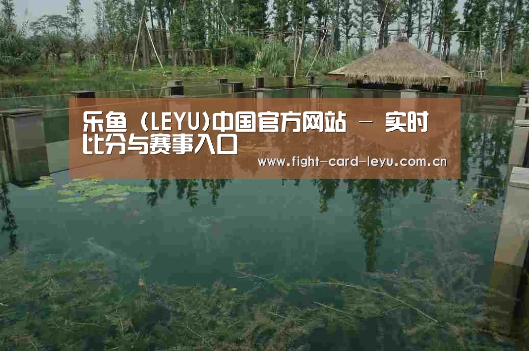 案例展示二(图1)