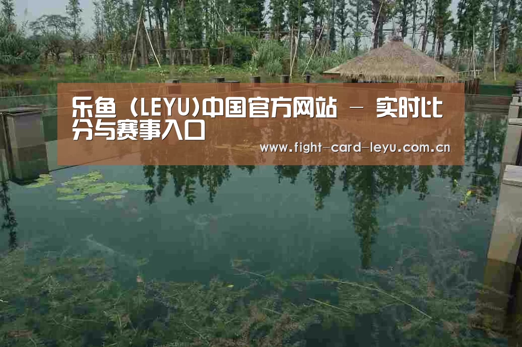 案例展示二