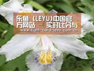产品名称二