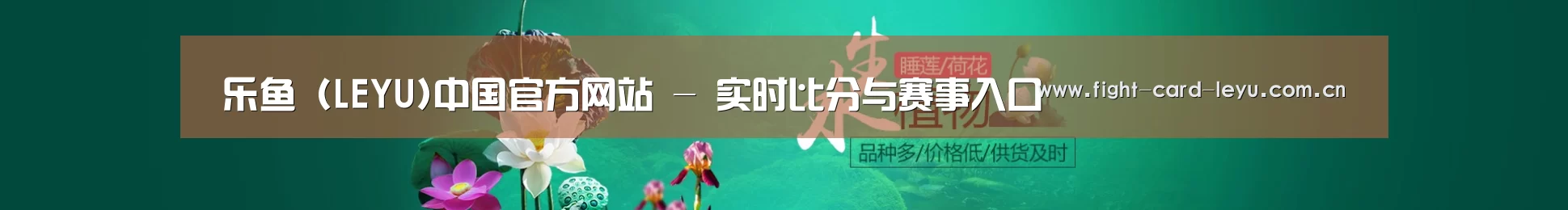鲜花水草花卉网站模板